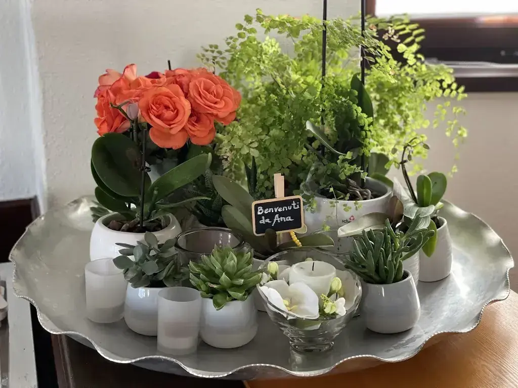 Ristorante Croce_Castaneda_slider_image_3