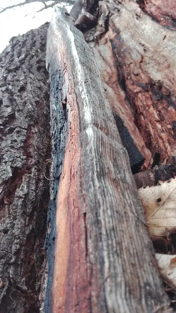 Hotel Locanda Rocca Bella_Castasegna_slider_image_2