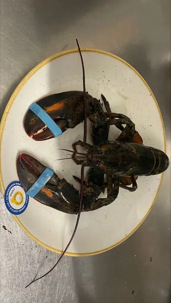 Menu_Ristorante Vecchia Birreria_Grono_image_5