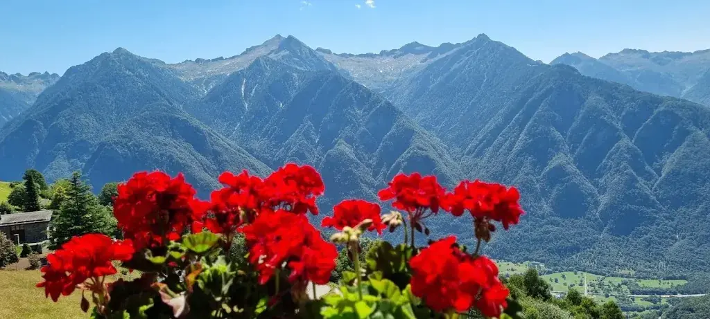 Sergio_Ristorante Baita_Santa Maria In Calanca_review