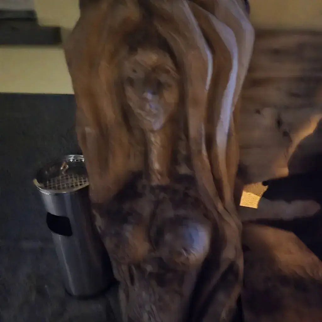 Rodoldo Innocenti_Arturs Pub_Roveredo_recensione