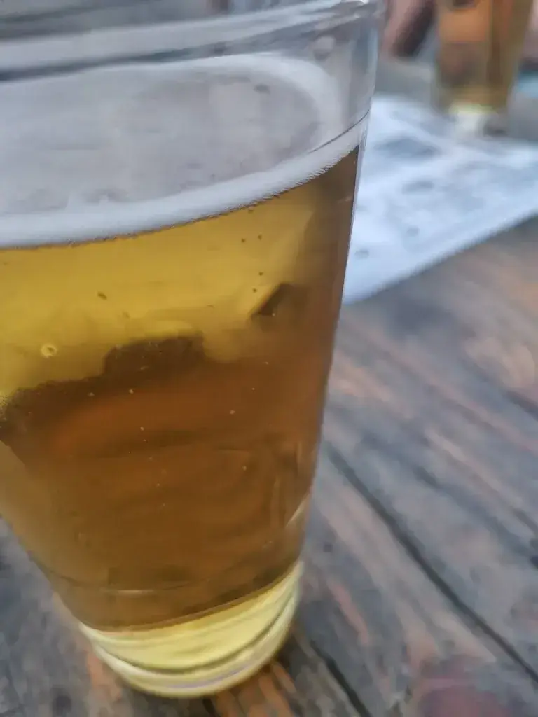 Menu_Bar 48_Biel_image_3