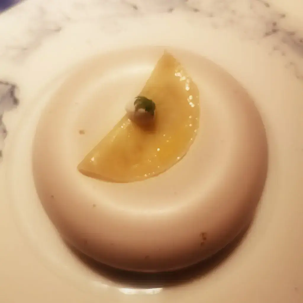 Martin Kubler_Maison Décotterd_Glion_review