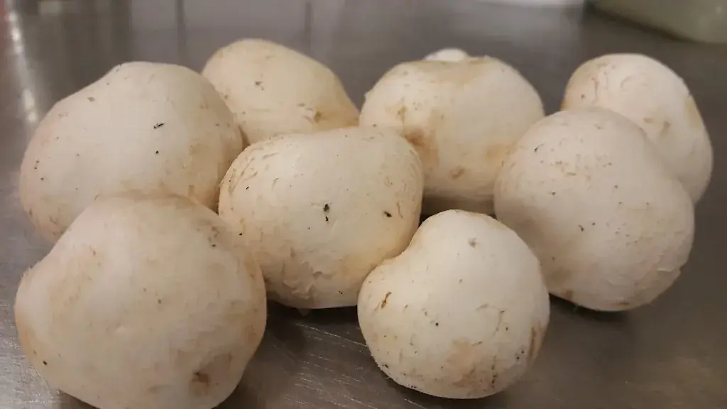 Menu_Hot Pizza_Biel_image_3