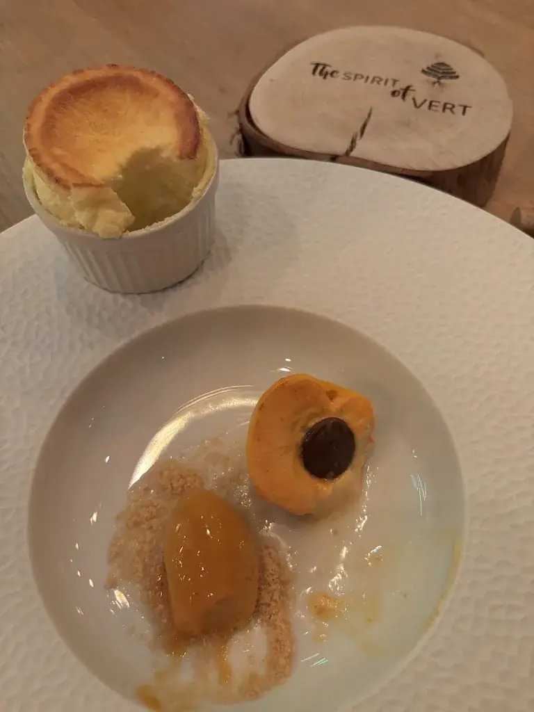 angelika scheifele_atelier VERT, AlpenGold Hotel Davos_Davos_review