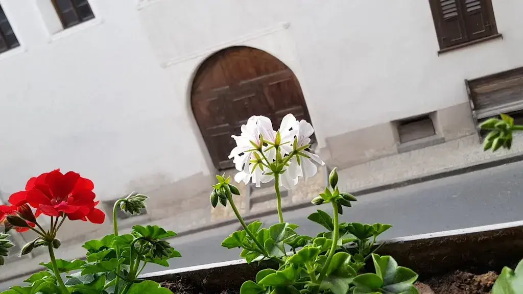 MyAlpina HOTEL/APPARTMENTS_Santa Maria Val Müstair_slider_image_2