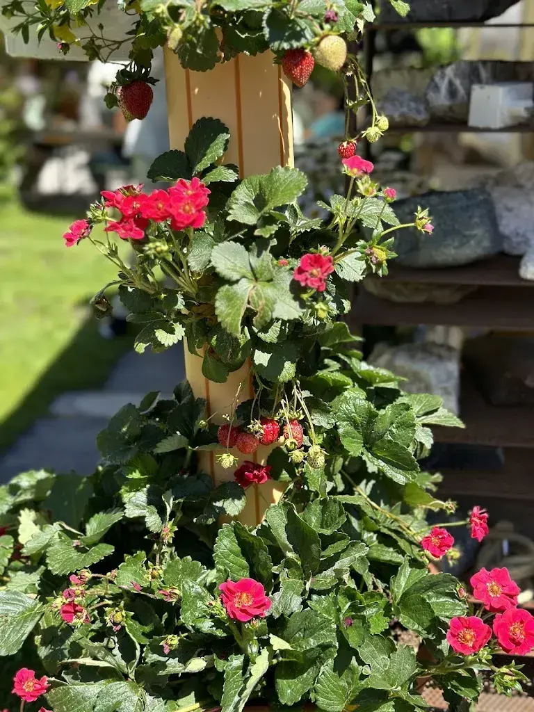 Natasha Korol_Restaurant Mühle Sertig_Davos Clavadel_recensione