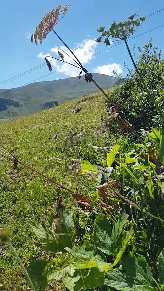 Berghaus Arflina restaurant in Fideris