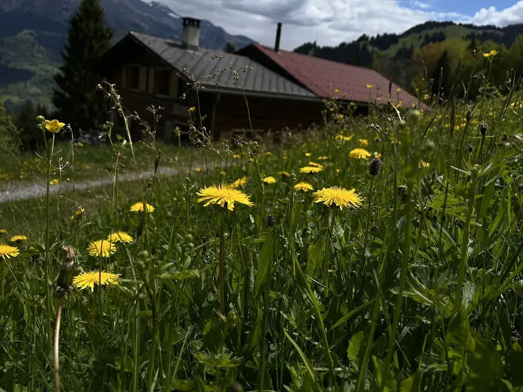 Huettenzauber Fideris_Fideris_slider_image_3