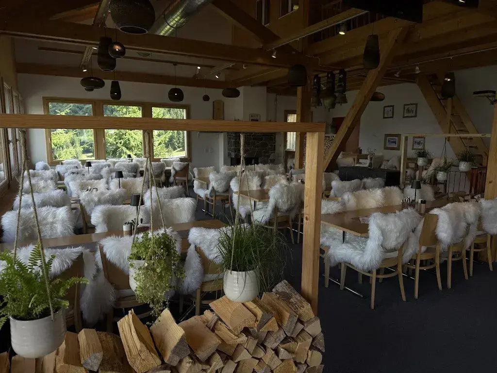 Whitney Johnson_Bergrestaurant Allmend_Wengen BE_avis