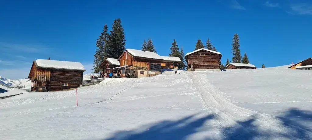 Zenon Jimenez_Traza Beizli_Pany_review