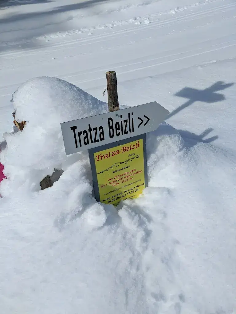 Branko Stajic_Traza Beizli_Pany_review