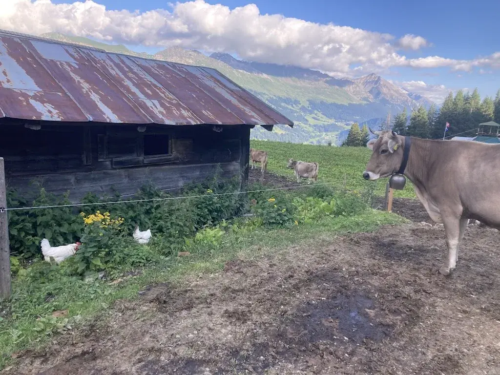 Alpbeizli Malix_Malix_slider_image_2