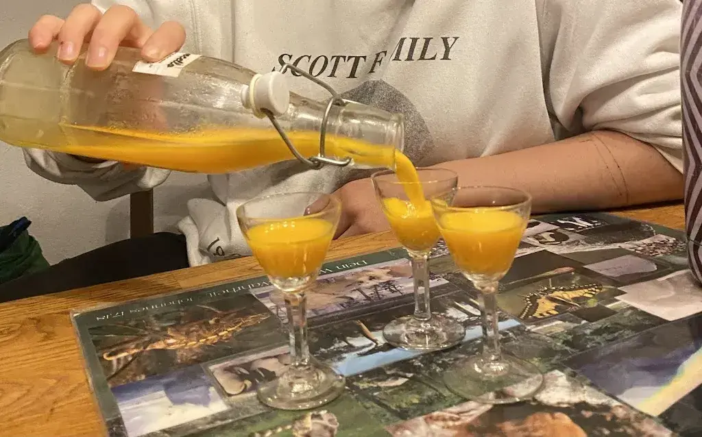 Cara Longmuir_Festung Fam. Beer von Neuseeland_Trimmis_review