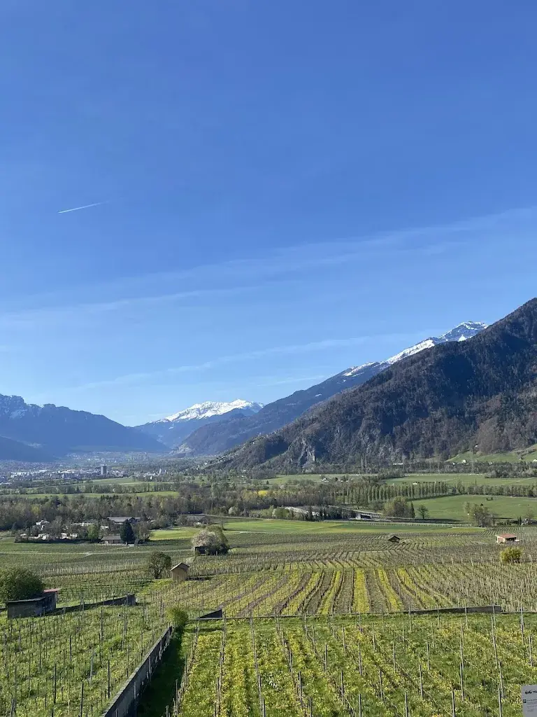 Suzy Batey_Landgasthof zur Bündte Jenins_Jenins_review