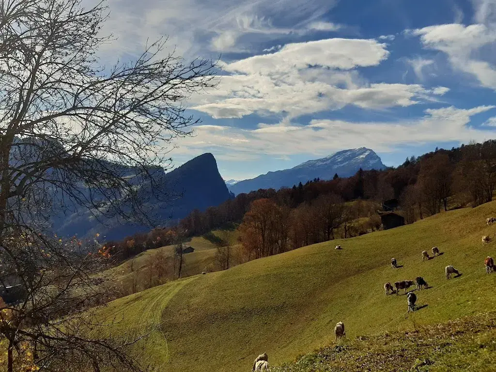 Werner Fetzer_Restaurant Hofbeizli Runggalina_Seewis im Prättigau_recensione