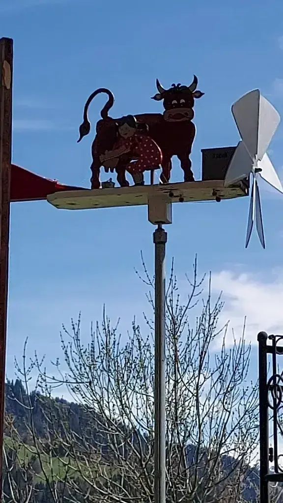 Restaurant Hofbeizli Runggalina_Seewis im Prättigau_slider_image_2