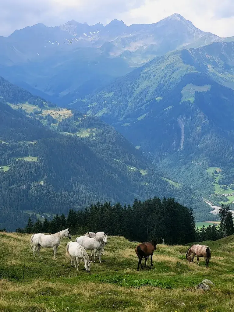 Jacqueline Kölliker_Camona da Punteglias CAS_Trun_review