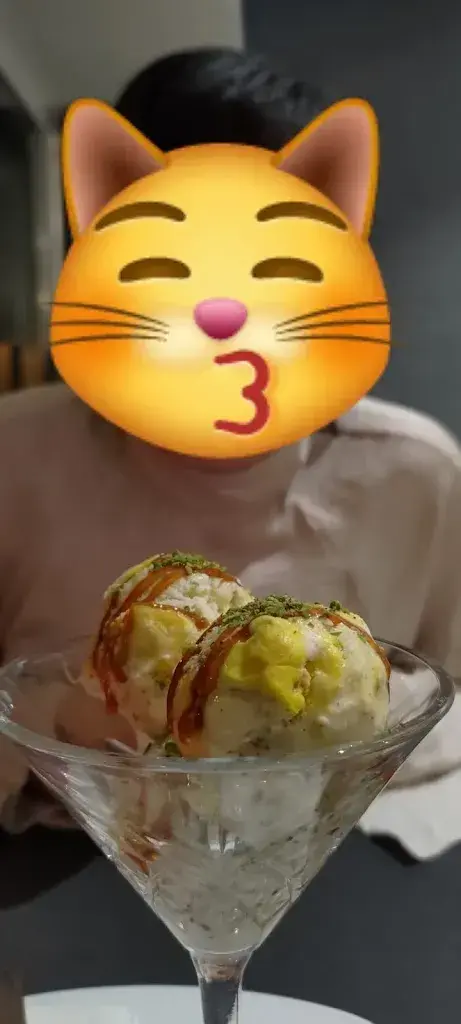 Menu_Safari Oriental Restaurant_Aarau_immagine_6