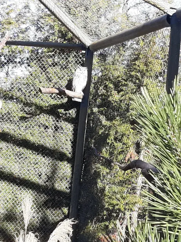 Geni Barmettler_Restaurant Jägerstübli Paul Lanz_Biberstein_review