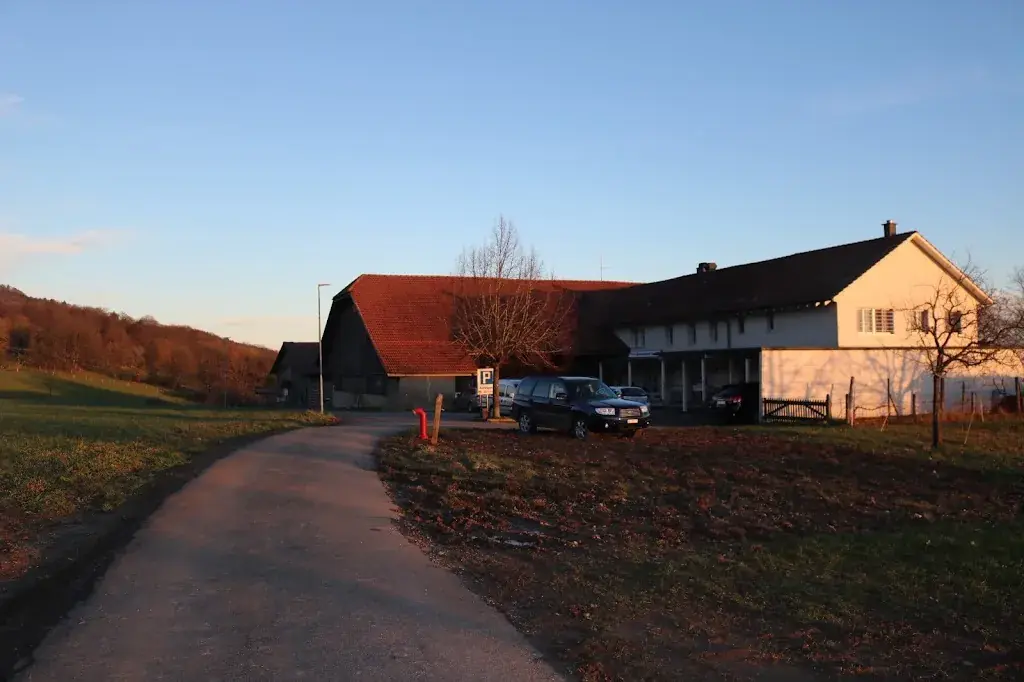 Eduardo Schaffner Guzmán_Gastwirtschaft Juraweid_Biberstein_review