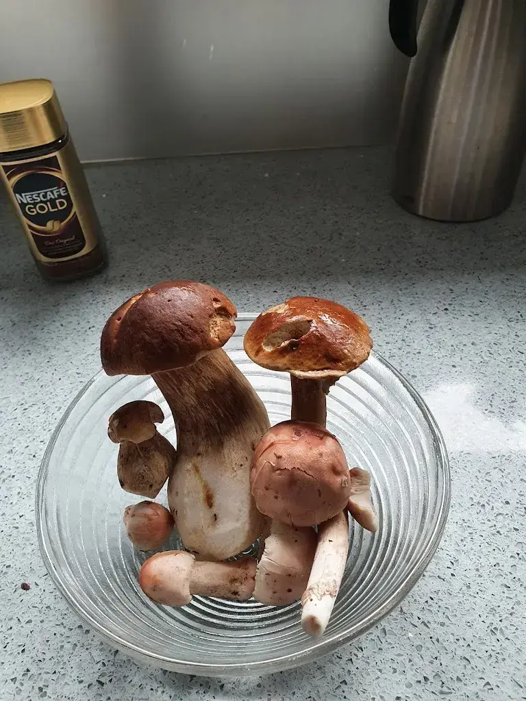 Menu_Altstadt_Aarau_image_6