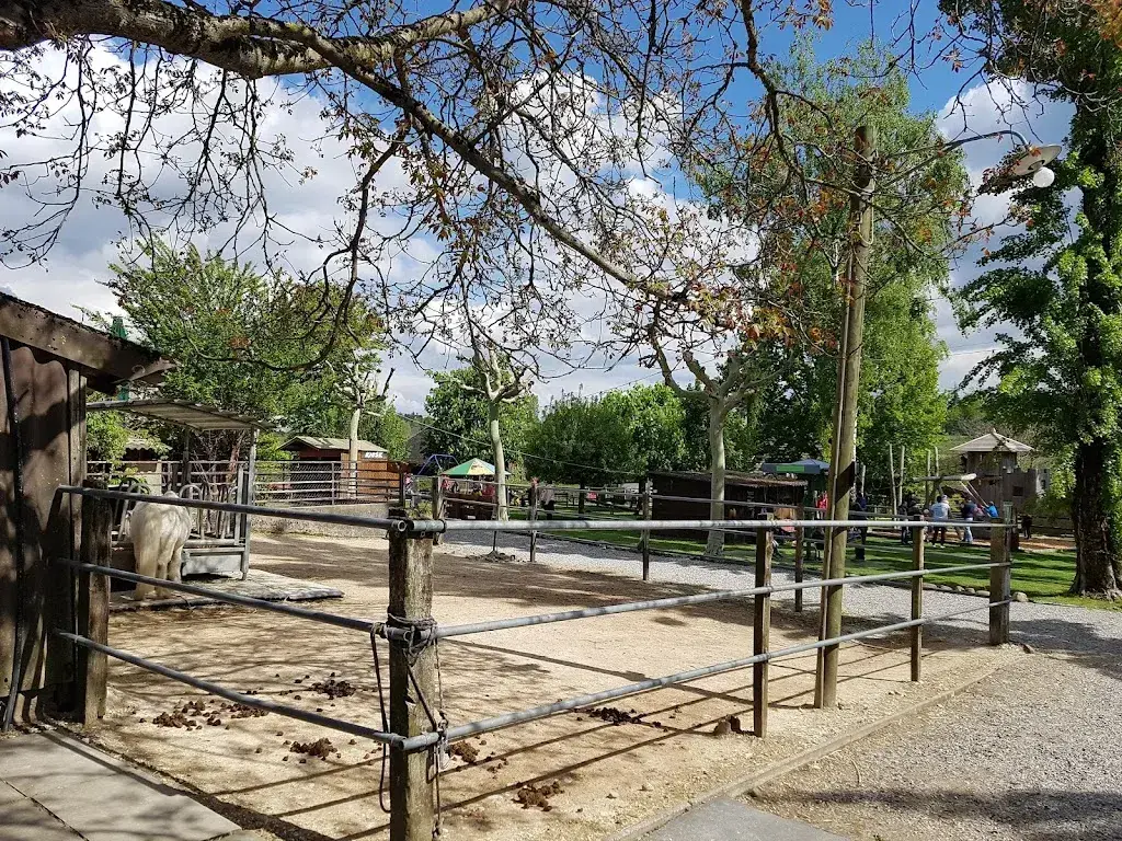 Beat A. Schwendimann_Restaurant Rütihof, Gränichen_Gränichen_review