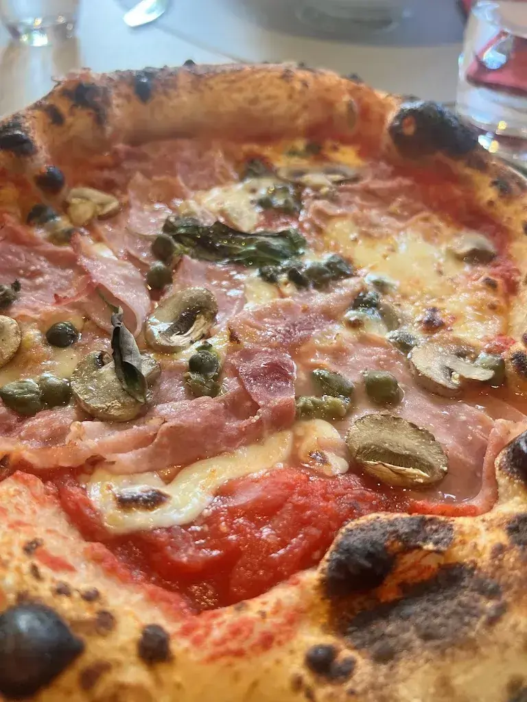 Claudia Saponaro_Ritzer_Rombach_review