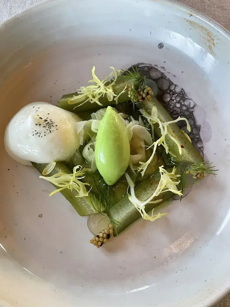 Oana Cecilia Simon_Fahr_Künten_review