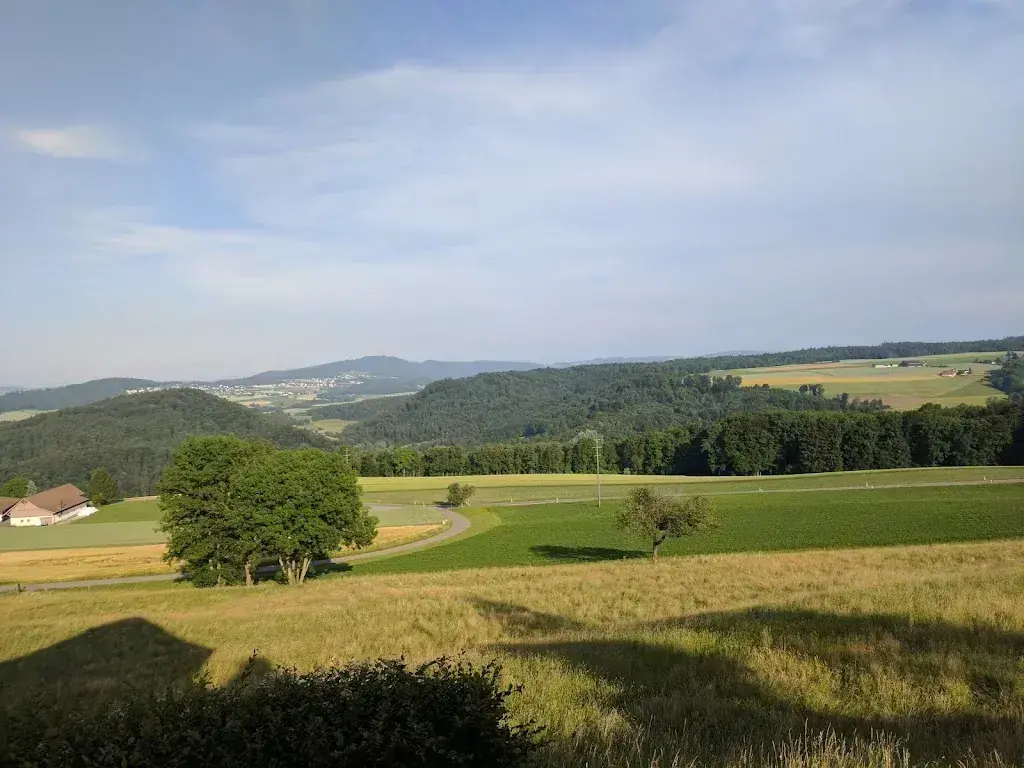 Léo Perego_Gasthof Herrenberg_Bergdietikon_Bewertung