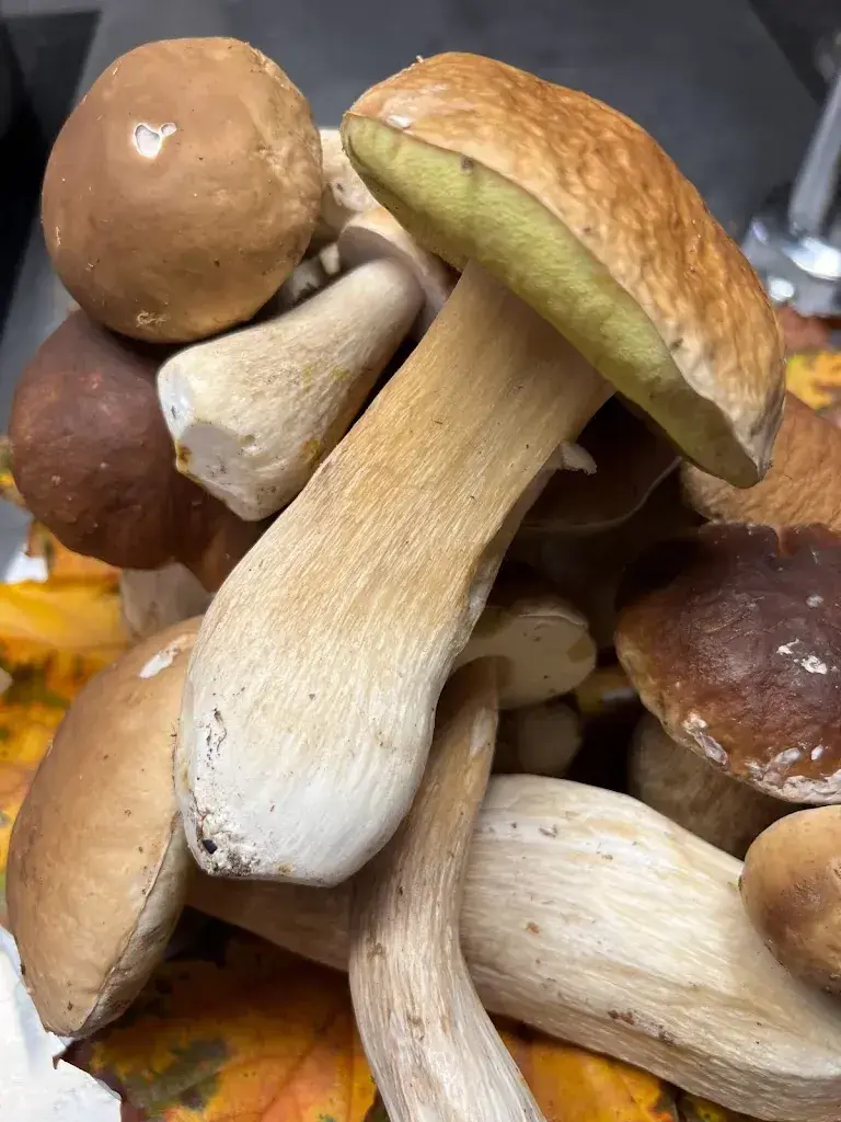 Menü_Restaurant Bergli / Pizzeria IL TARTUFO_Bergdietikon_Bild_5