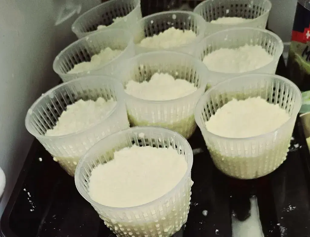 Menu_Buongusto Ristorante Pizzeria_Dietikon_image_4