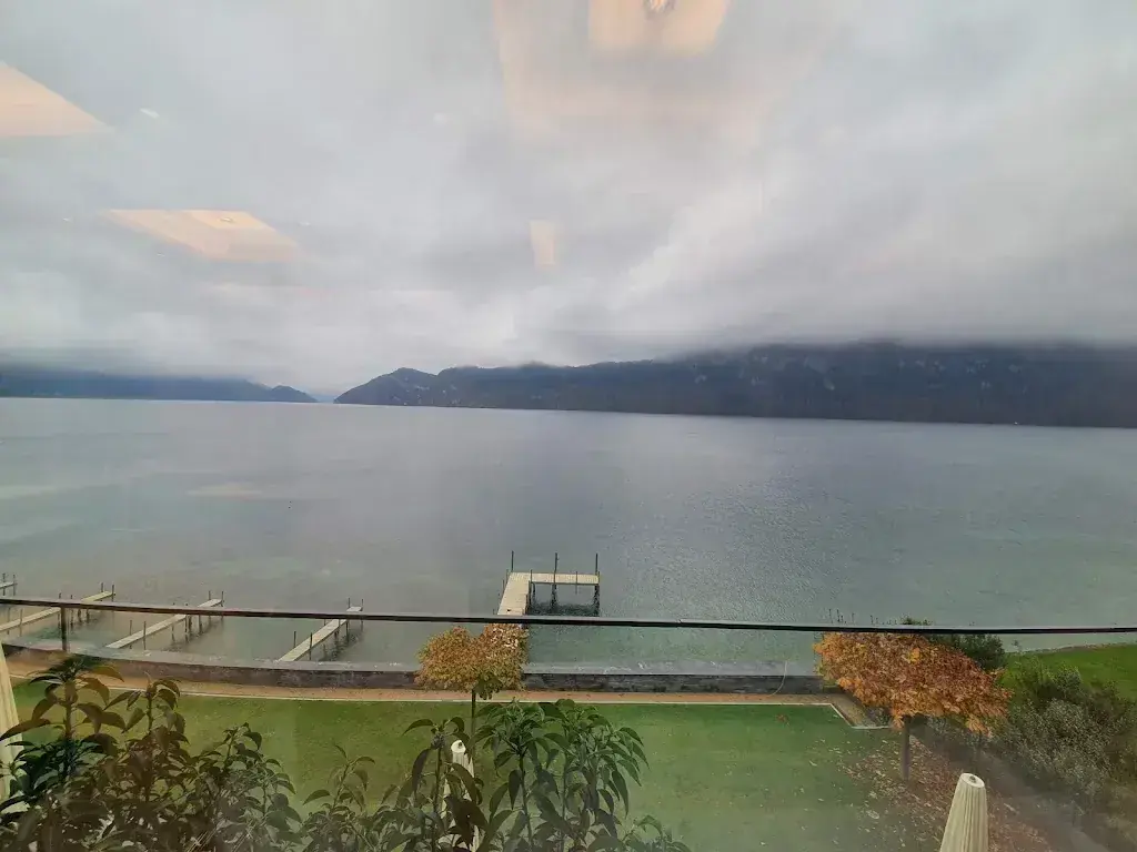 Alessandro Marani_Il Ristorante Hertenstein_Weggis_review