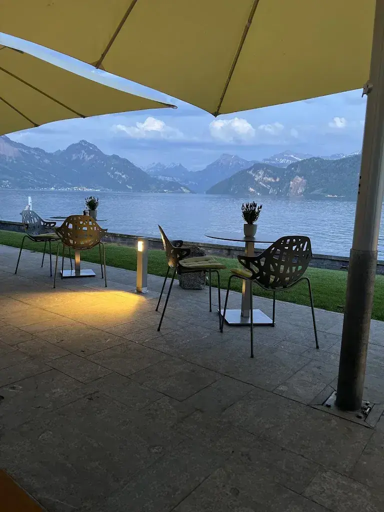 Khalid Alketbi_Il Ristorante Hertenstein_Weggis_review