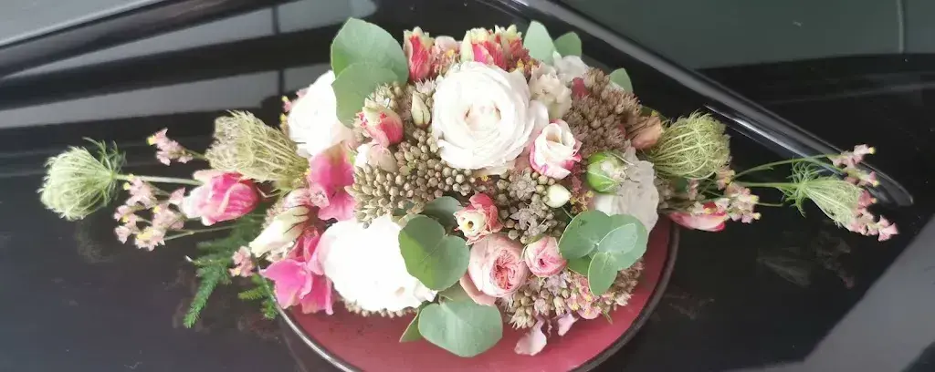 Beatrice Hafner_Schöneck_Remetschwil_review