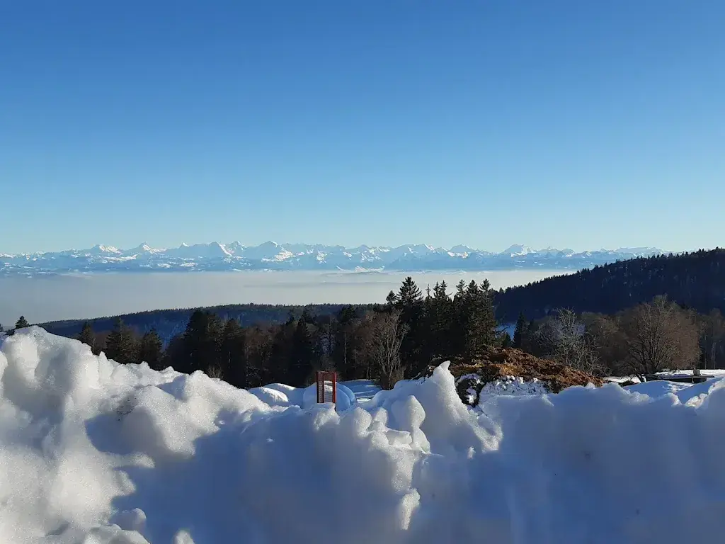 B. N._Métairie d’Evilard_Orvin_review