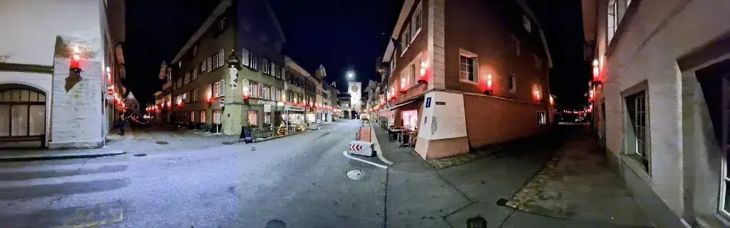 Voser Peter_Viva_Mellingen_review