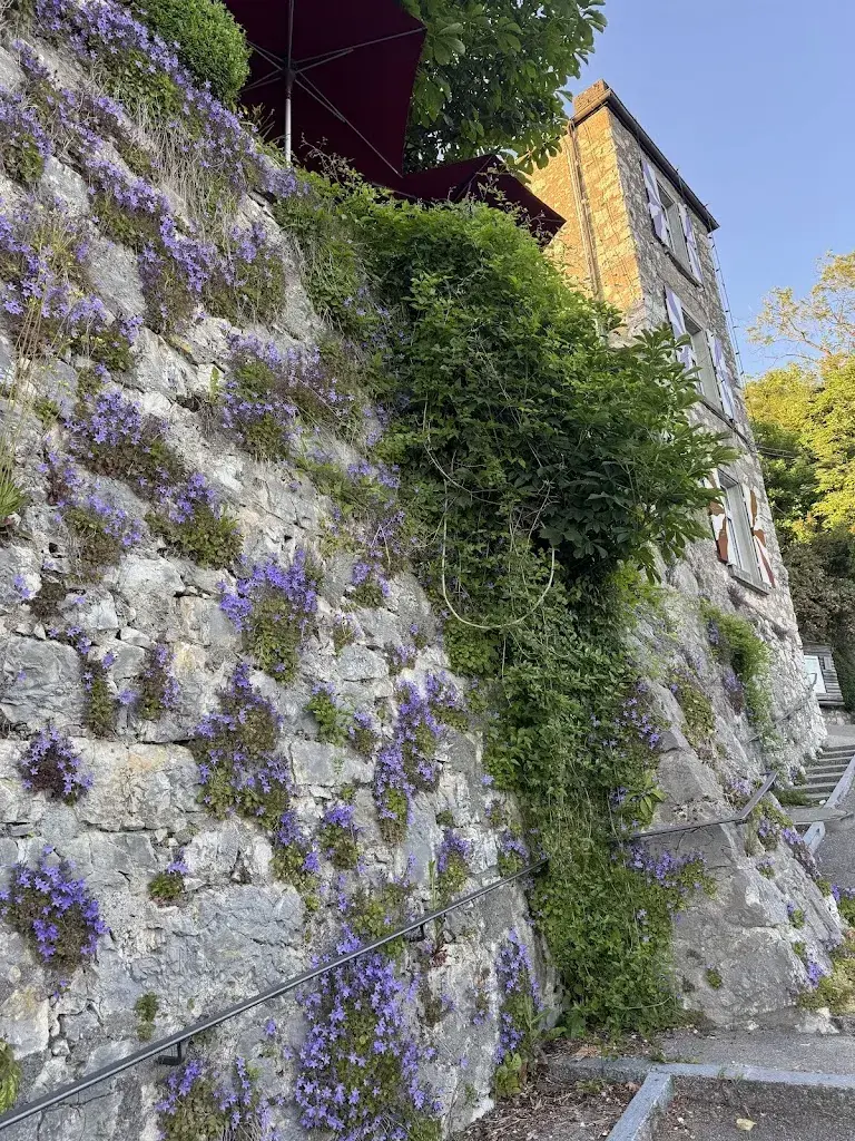 Kelly McCarthy_Schloss Schartenfels_Wettingen_review