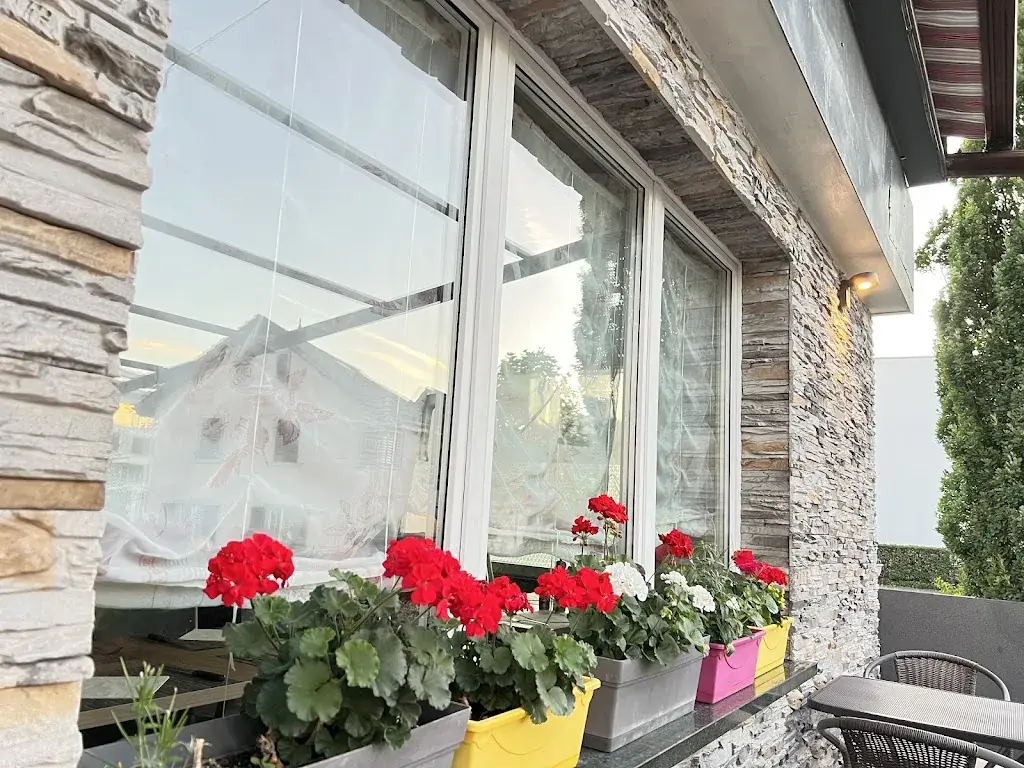 Raghvendra Yadav_Restaurant Viva Gusto_Spreitenbach_review