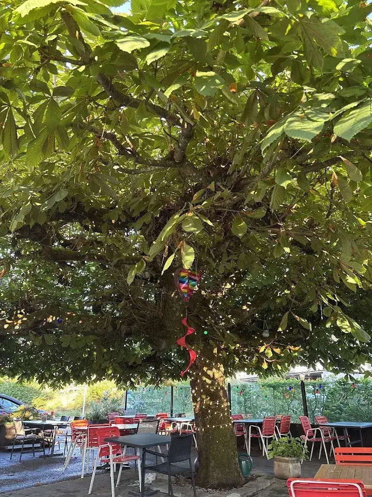 Judith Staub_Schore Pintli_Langenthal_review