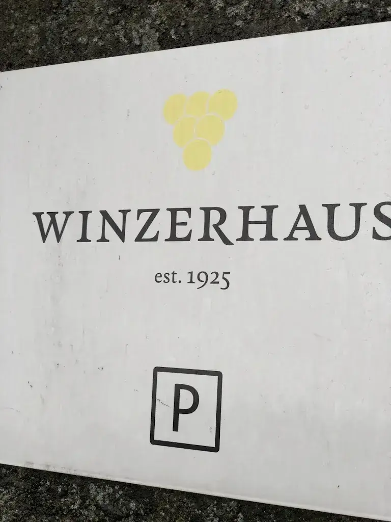 Saif AlShehhi_Winzerhaus_Weiningen_review