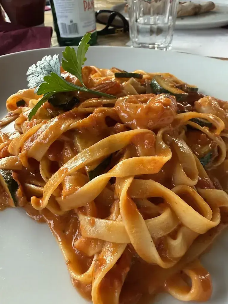 Afarin Javanrouh_RISTORANTE PIZZERIA ALPINI_Wettingen_review