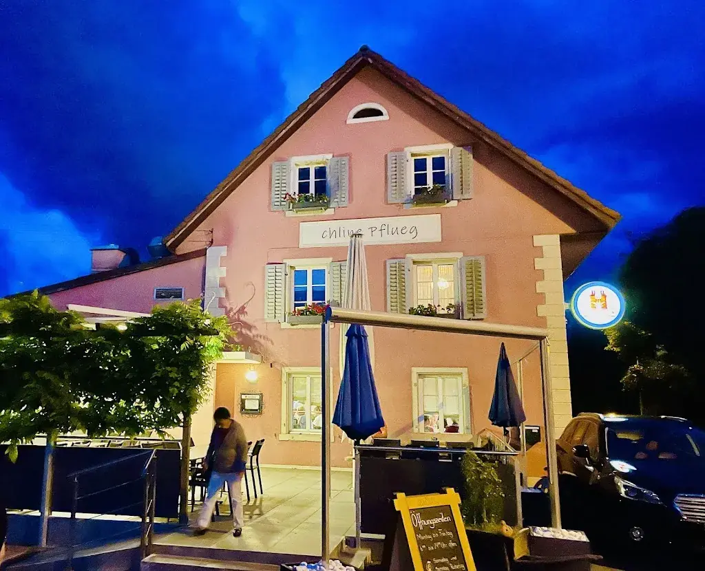 Reto Wieland_chline Pflueg_Othmarsingen_review