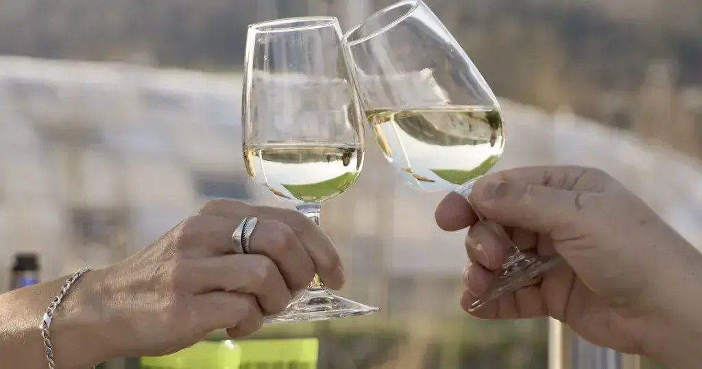 Menu_Buvette auf der Schüssinsel_Biel_image_3