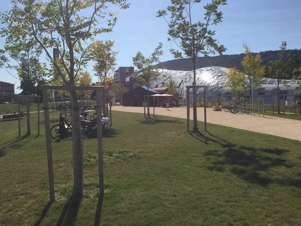 Ren Claver_Buvette auf der Schüssinsel_Biel_review