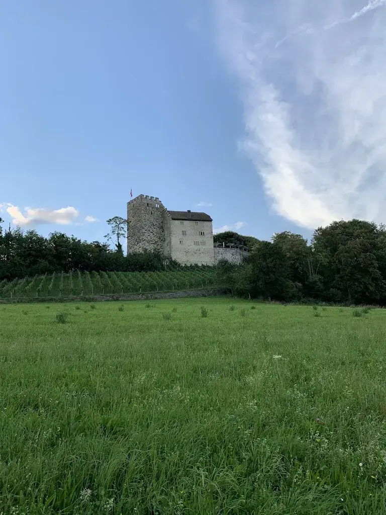 Luca_Schlossrestaurant Habsburg_Habsburg_review