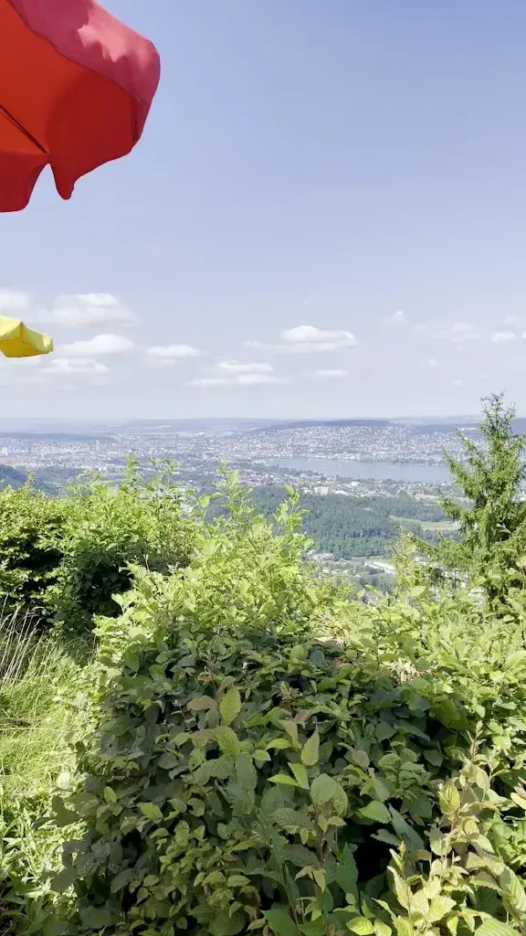 Ombeline Hischier_Restaurant Felsenegg_Stallikon_review