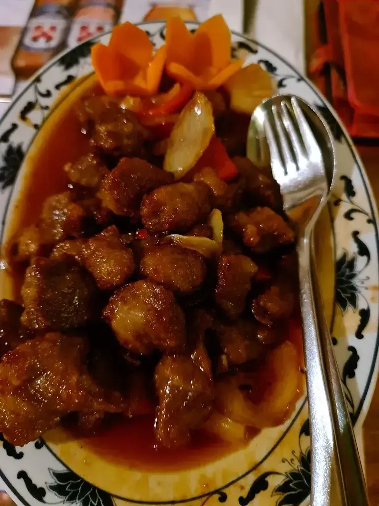 Menü_China Restaurant Dong Fan_Menziken_Bild_1