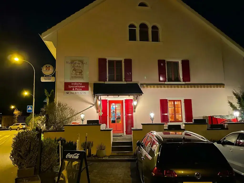 Freier Baer_Kaschmir_Frick_avis