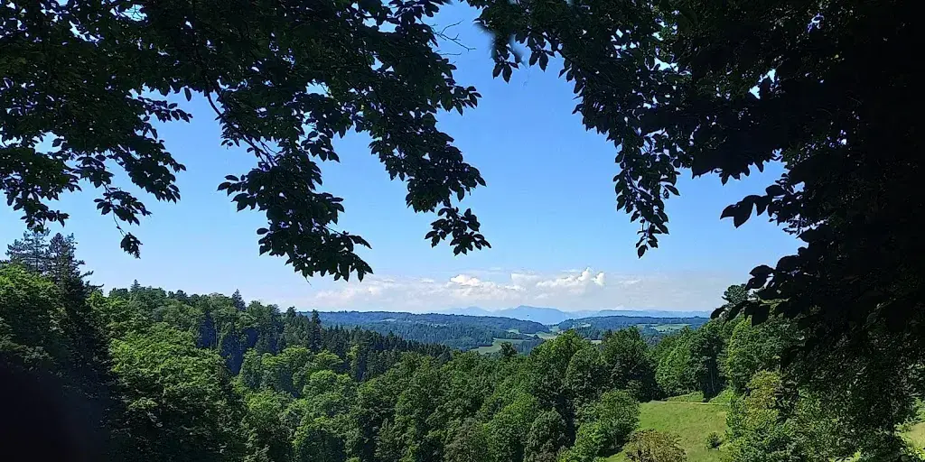 Rolf Vogt_Pizzahüsli Menzu_Schöftland_review